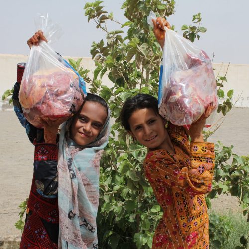 RS197438_TFGLM-Qurbani-Pakistan-10-scaled